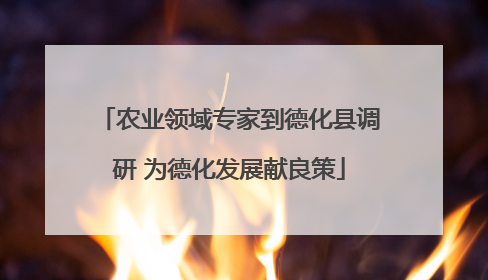 农业领域专家到德化县调研 为德化发展献良策