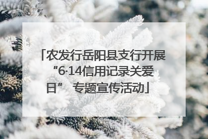 农发行岳阳县支行开展“6·14信用记录关爱日” 专题宣传活动
