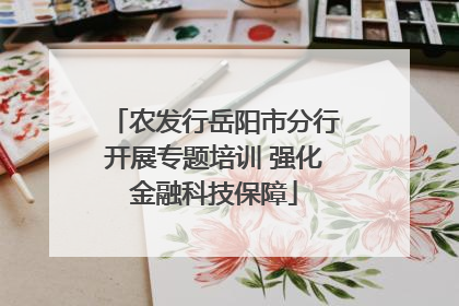 农发行岳阳市分行开展专题培训 强化金融科技保障