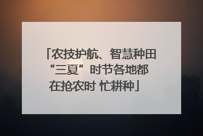 农技护航、智慧种田 “三夏”时节各地都在抢农时 忙耕种