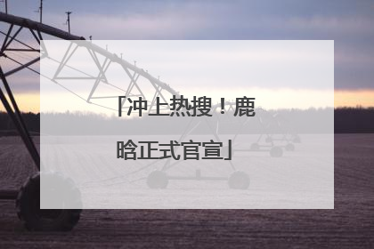 冲上热搜！鹿晗正式官宣