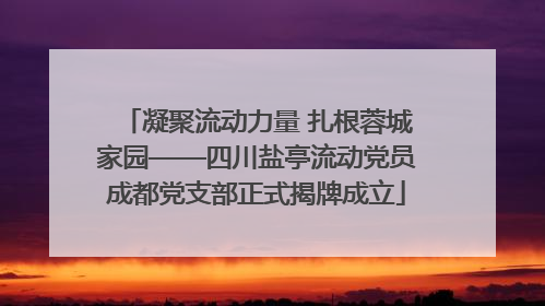 凝聚流动力量 扎根蓉城家园——四川盐亭流动党员成都党支部正式揭牌成立