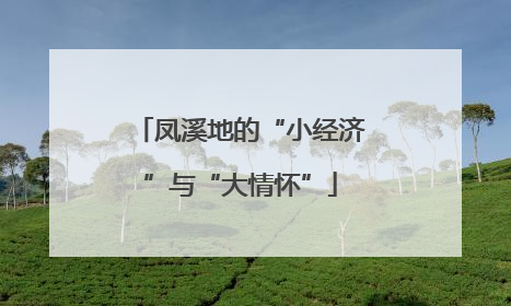 凤溪地的“小经济”与“大情怀”