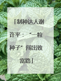 制种达人谢许平：“一粒种子”闯出致富路