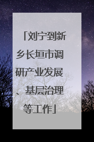 刘宁到新乡长垣市调研产业发展、基层治理等工作