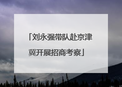 刘永强带队赴京津冀开展招商考察