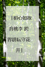 初心如故育桃李 跨界耕耘守花开