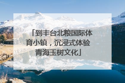 到丰台北粮国际体育小镇，沉浸式体验青海玉树文化