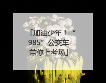 加油少年！“985”公交车带你上考场