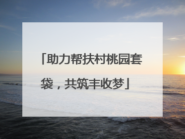 助力帮扶村桃园套袋，共筑丰收梦