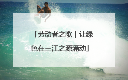 劳动者之歌｜让绿色在三江之源涌动
