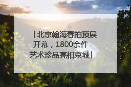 北京翰海春拍预展开幕，1800余件艺术珍品亮相京城