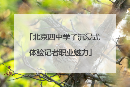 北京四中学子沉浸式体验记者职业魅力