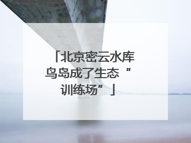 北京密云水库鸟岛成了生态“训练场”