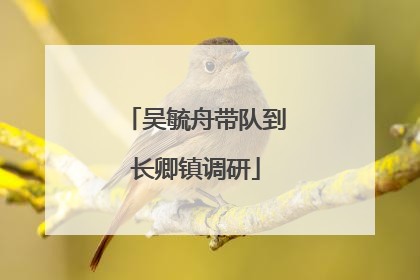 吴毓舟带队到长卿镇调研