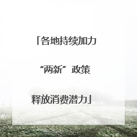 各地持续加力“两新”政策 释放消费潜力