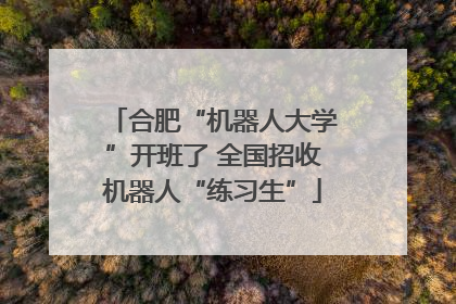 合肥“机器人大学”开班了 全国招收机器人“练习生”