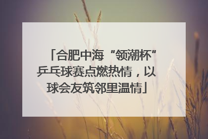 合肥中海“领潮杯”乒乓球赛点燃热情，以球会友筑邻里温情