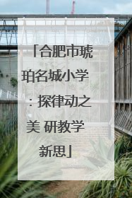 合肥市琥珀名城小学：探律动之美 研教学新思