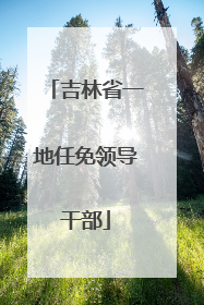 吉林省一地任免领导干部
