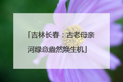 吉林长春：古老母亲河绿意盎然焕生机