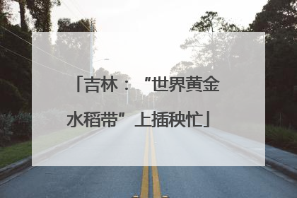 吉林：“世界黄金水稻带”上插秧忙