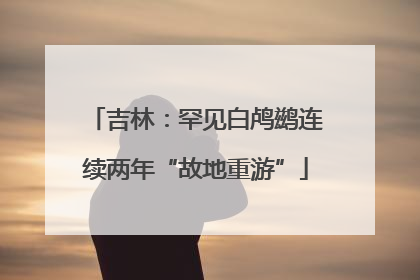 吉林：罕见白鸬鹚连续两年“故地重游”