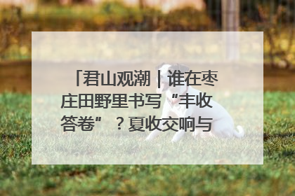 君山观潮｜谁在枣庄田野里书写“丰收答卷”？夏收交响与特色产业，共绘乡村振兴新图景