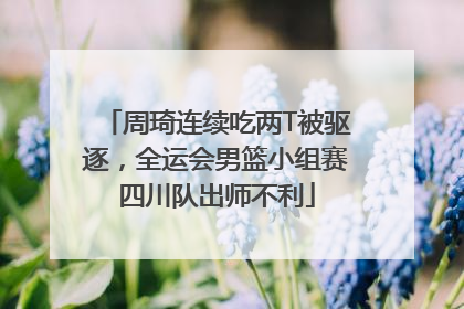 周琦连续吃两T被驱逐，全运会男篮小组赛四川队出师不利