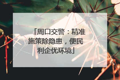周口交警：精准施策除隐患，便民利企优环境