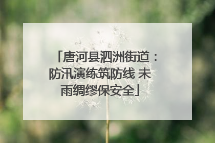 唐河县泗洲街道：防汛演练筑防线 未雨绸缪保安全