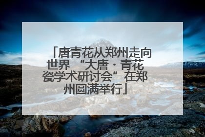 唐青花从郑州走向世界 “大唐・青花瓷学术研讨会”在郑州圆满举行