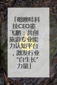 嗯噢哇科技CEO窦飞鹏：共创旅游专业能力认知平台，激发行业“自生长”力量