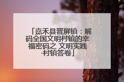 嘉禾县晋屏镇：解码全国文明村镇的幸福密码之 文明实践·村镇答卷