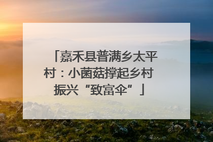 嘉禾县普满乡太平村：小菌菇撑起乡村振兴“致富伞”