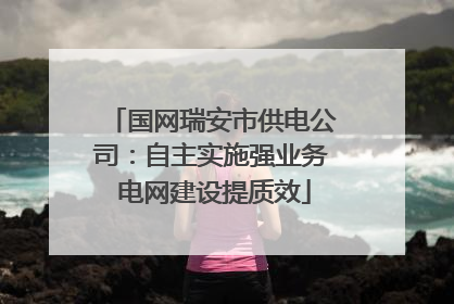 国网瑞安市供电公司：自主实施强业务 电网建设提质效