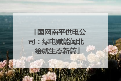 国网南平供电公司：绿电赋能闽北 绘就生态新篇