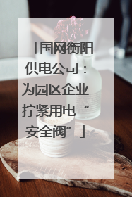 国网衡阳供电公司：为园区企业拧紧用电“安全阀”