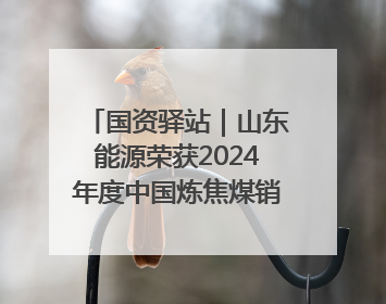 国资驿站｜山东能源荣获2024年度中国炼焦煤销量“十强”；全国首例铁路盖上智慧物流园钢结构主体完工