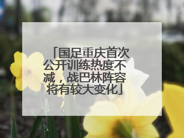 国足重庆首次公开训练热度不减，战巴林阵容将有较大变化