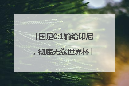 国足0:1输给印尼，彻底无缘世界杯