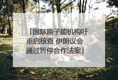 国际原子能机构吁重启核查 伊朗议会通过暂停合作法案