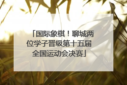 国际象棋！聊城两位学子晋级第十五届全国运动会决赛