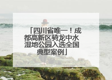四川省唯一！成都高新区骑龙中水湿地公园入选全国典型案例