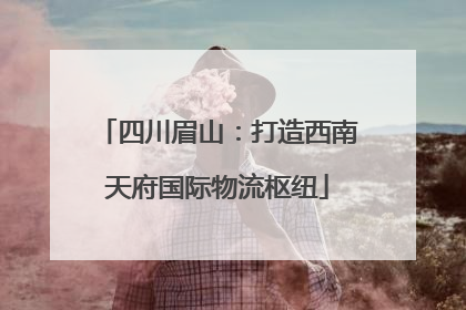 四川眉山：打造西南天府国际物流枢纽