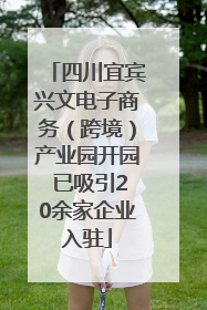 四川宜宾兴文电子商务（跨境）产业园开园 已吸引20余家企业入驻