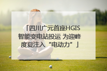 四川广元首座HGIS智能变电站投运 为迎峰度夏注入“电动力”