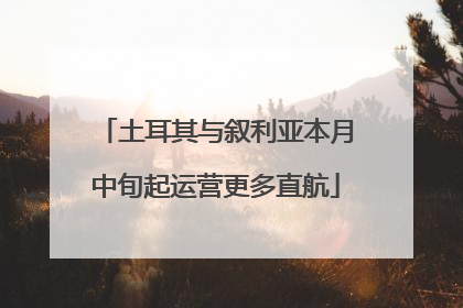土耳其与叙利亚本月中旬起运营更多直航