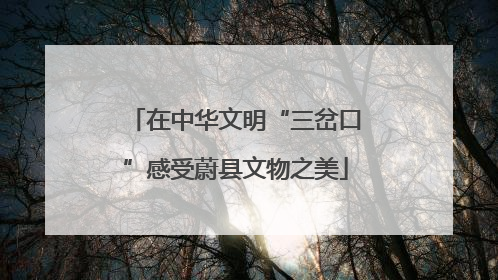 在中华文明“三岔口”感受蔚县文物之美