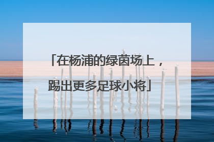 在杨浦的绿茵场上，踢出更多足球小将